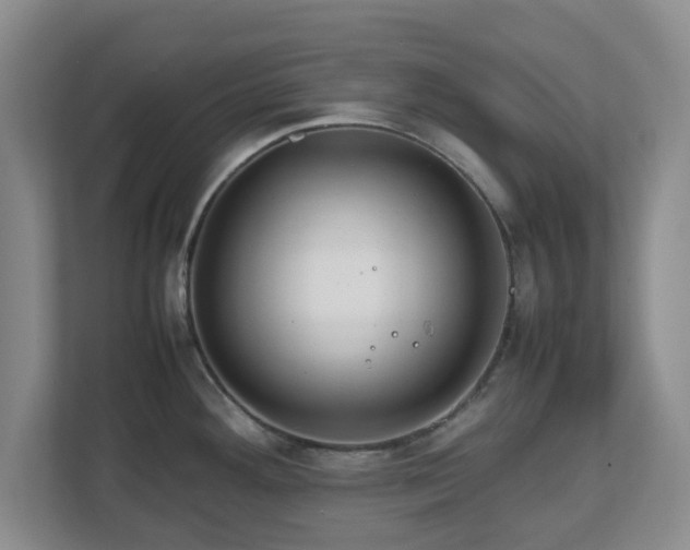 X0000112751292200908271534