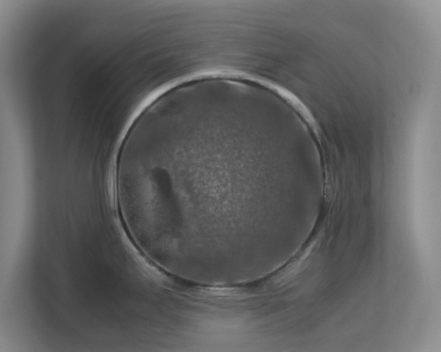 X0000112751295200908271534