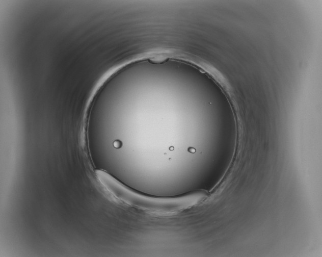 X0000112751296200908271534