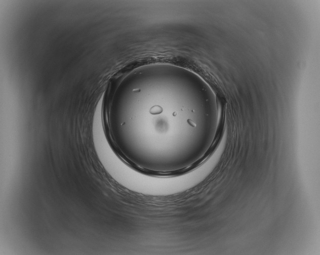 X0000112751298200908271533