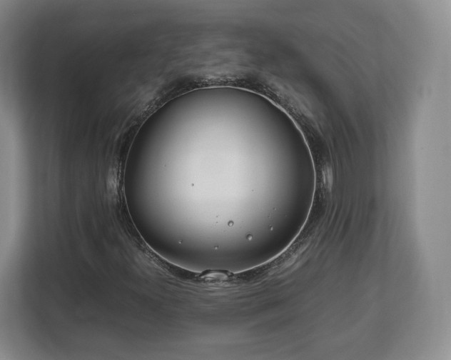 X0000112751300200908271533