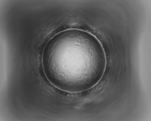 X0000112751301200908271533