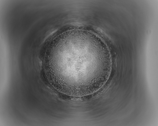 X0000112751302200908271533