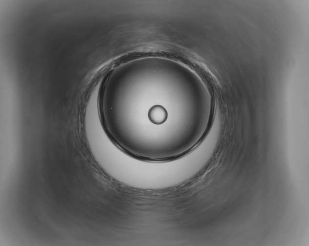 X0000112751304200908271533