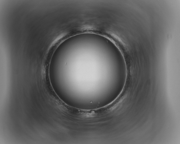 X0000112751309200908271534