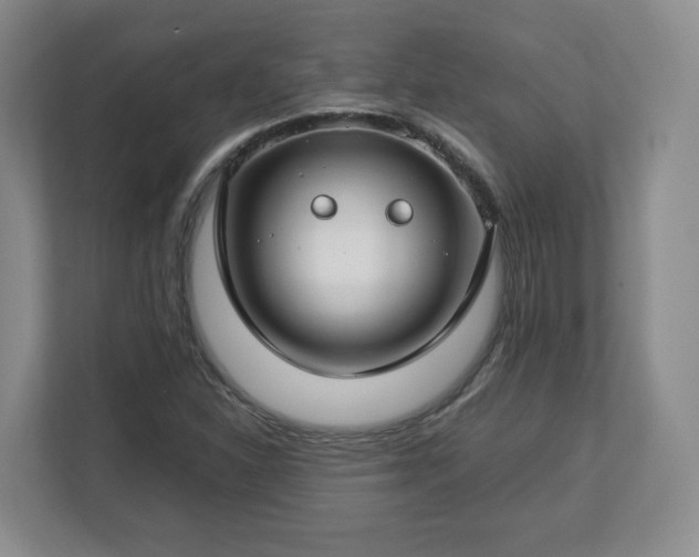 X0000112751310200908271534