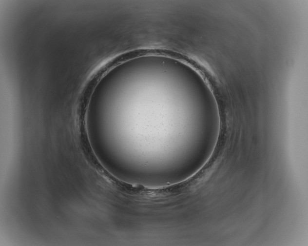 X0000112751311200908271534