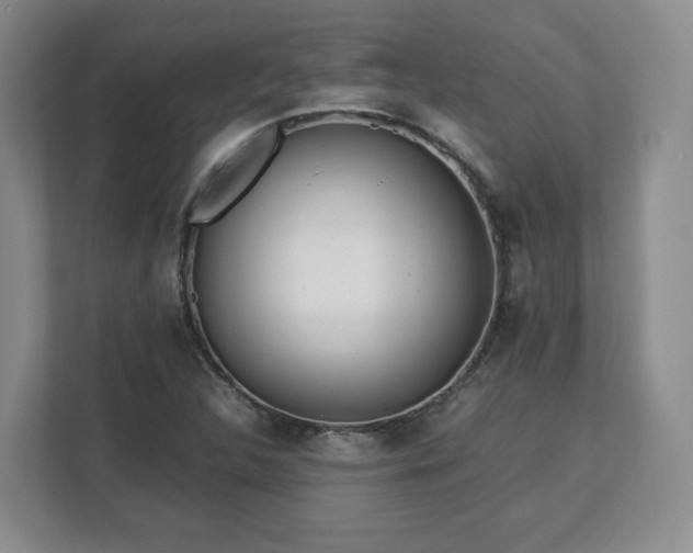 X0000112751312200908271534