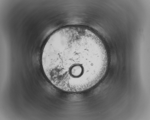 X0000112751314200908271534