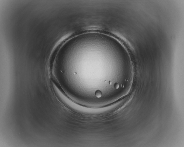 X0000112751317200908271534