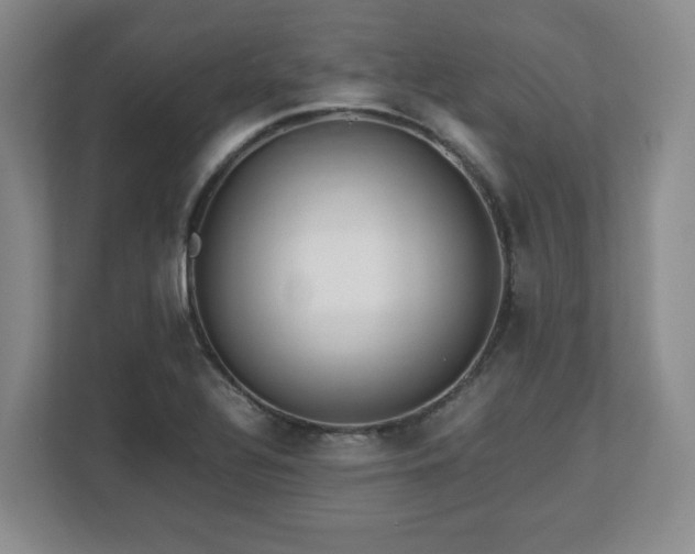 X0000112751320200908271534