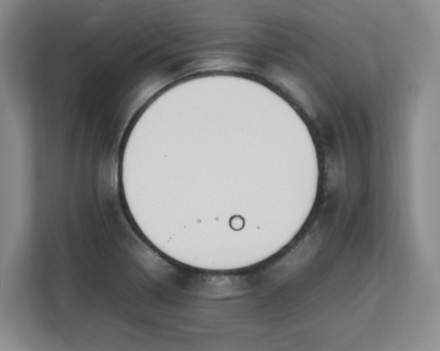 X0000112751322200908271534