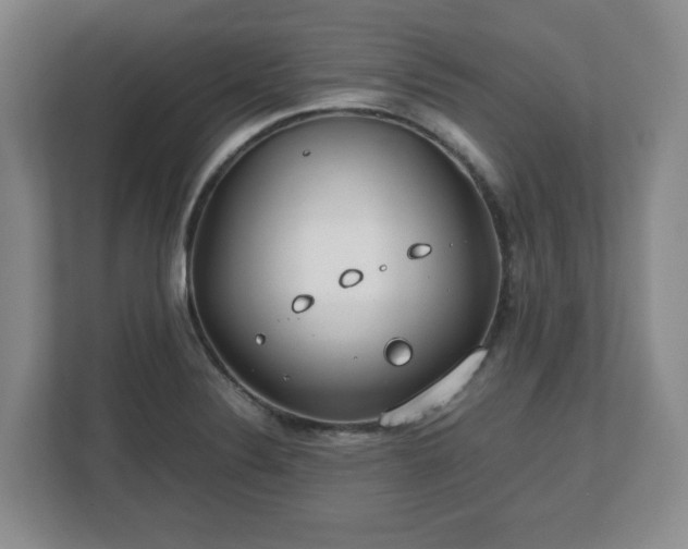 X0000112751324200908271534