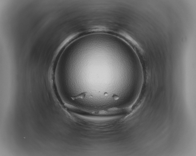 X0000112751325200908271534