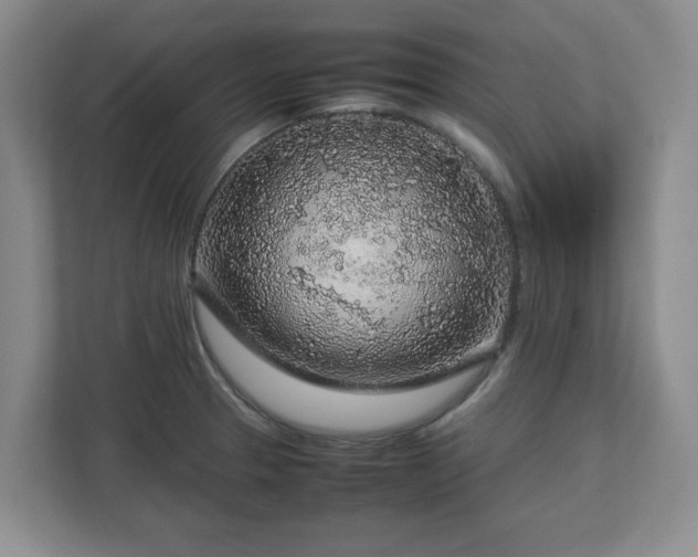 X0000112751329200908271534