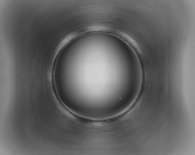 X0000112751330200908271534