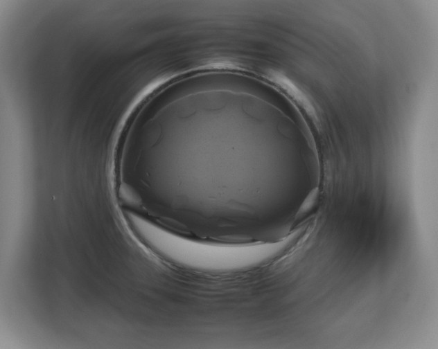 X0000112751331200908271534