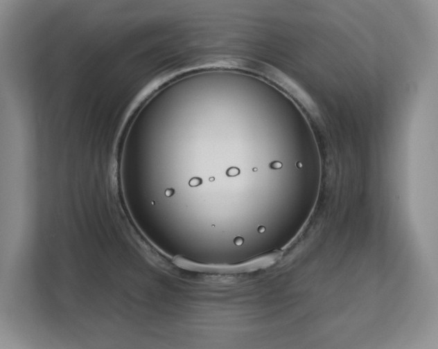 X0000112751332200908271534