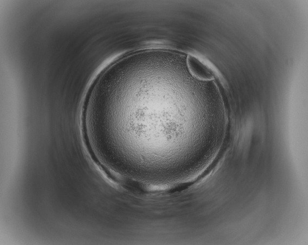 X0000112751333200908271534