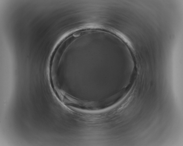 X0000112751334200908271534