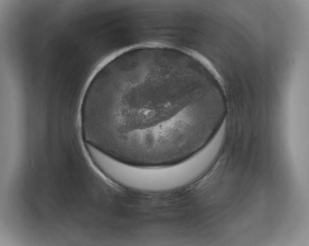 X0000112751335200908271534