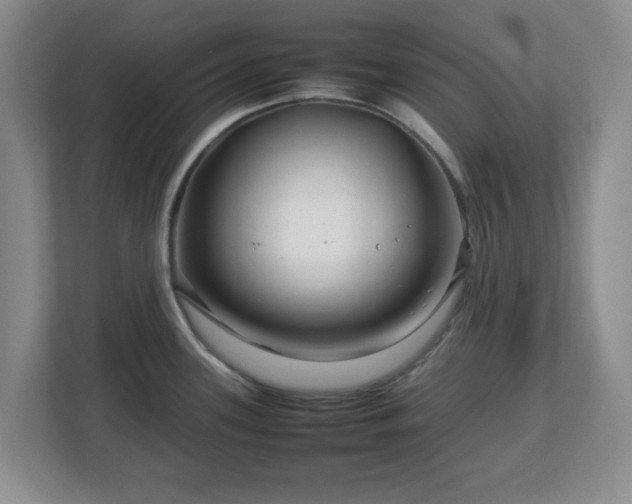 X0000112751339200908271534