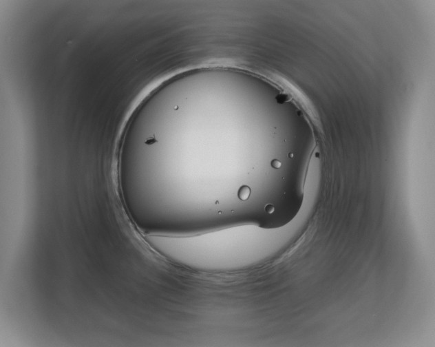 X0000112751340200908271534