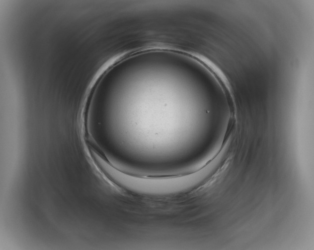 X0000112751341200908271534