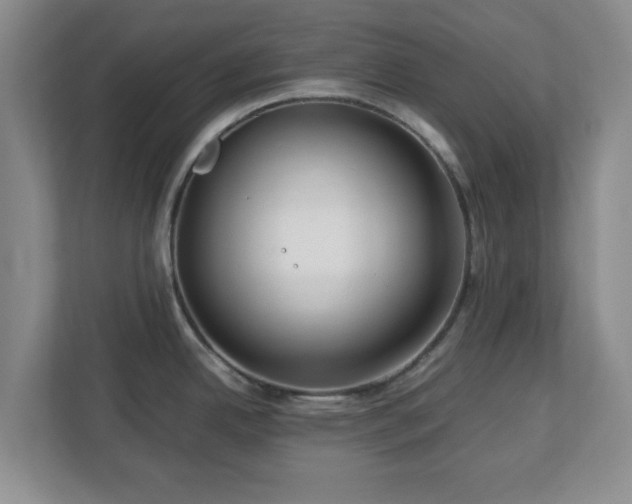 X0000112751342200908271534