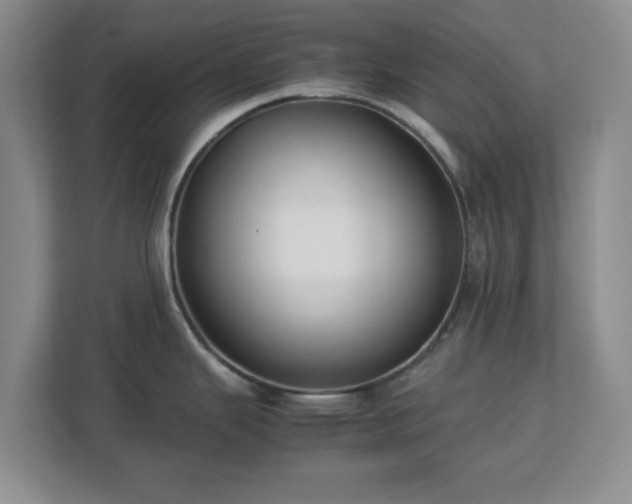 X0000112751343200908271534