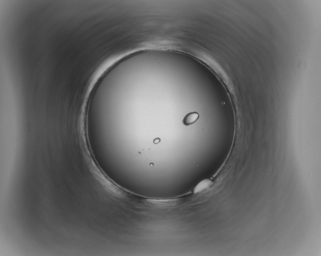 X0000112751344200908271534