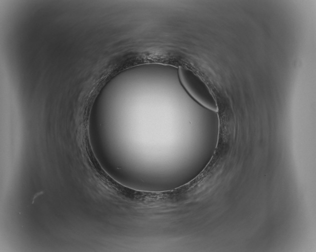 X0000112751345200908271533