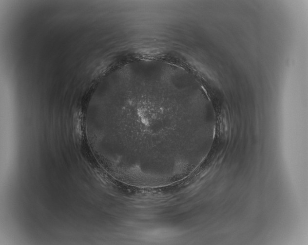 X0000112751346200908271533