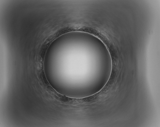 X0000112751349200908271533