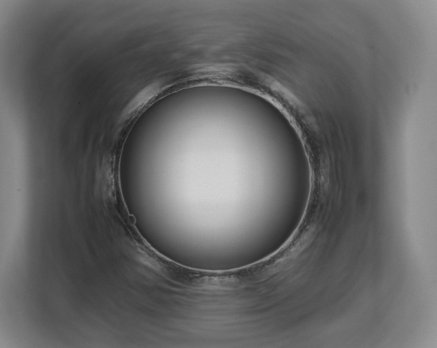 X0000112751354200908271533