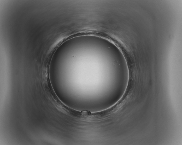 X0000112751355200908271533