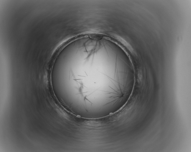 X0000112751356200908271533