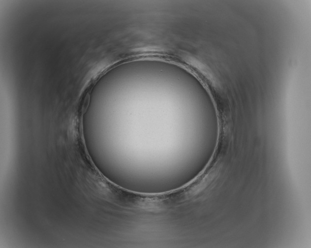 X0000112751357200908271533