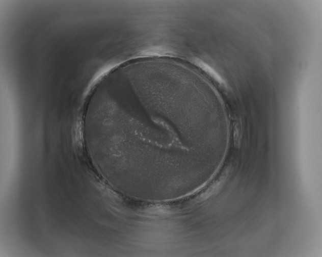 X0000112751358200908271533