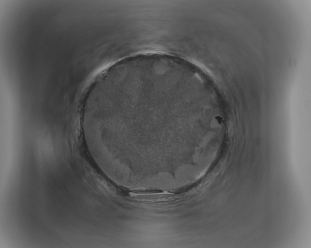 X0000112751359200908271533