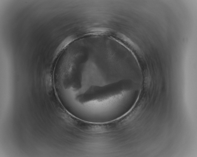 X0000112751362200908271533