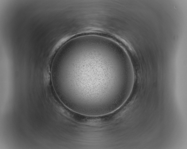 X0000112751363200908271533