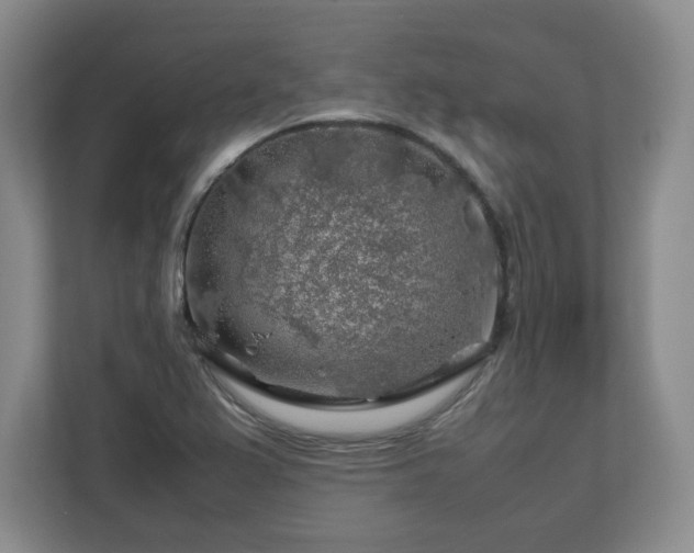 X0000112751367200908271533