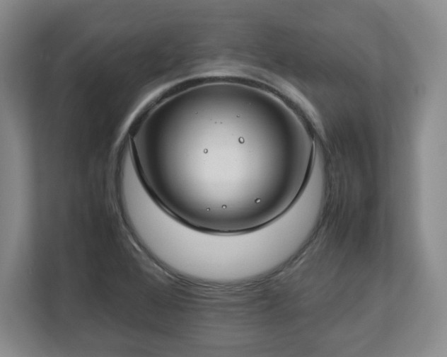 X0000112751368200908271533