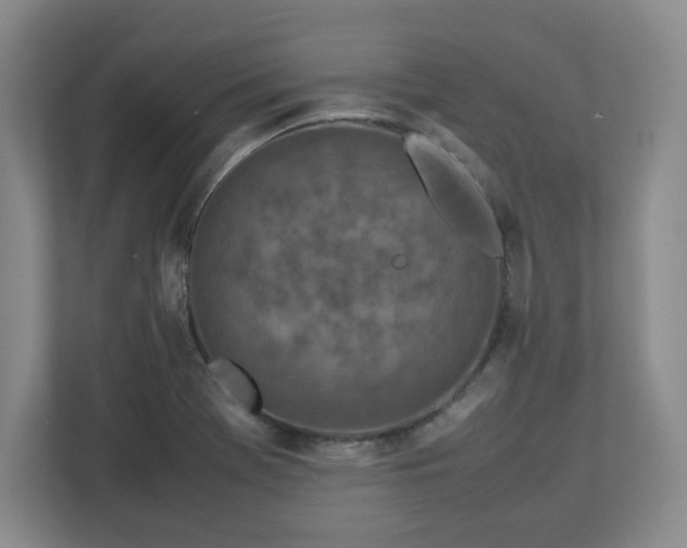 X0000112751369200908271533