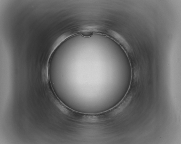 X0000112751370200908271533