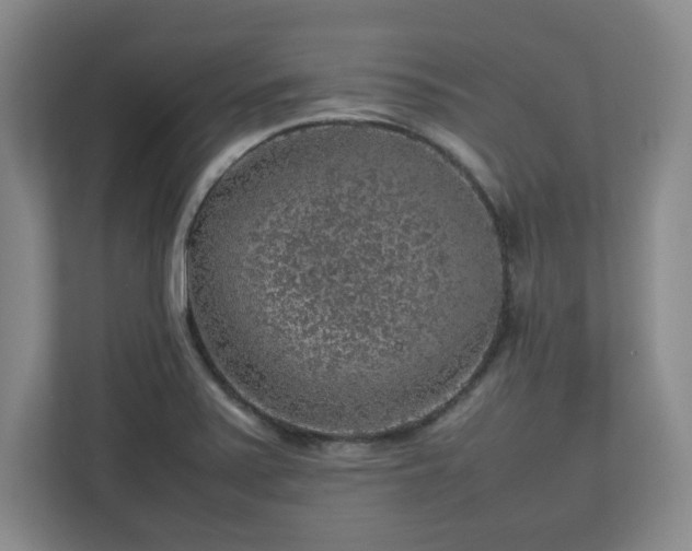 X0000112751371200908271533