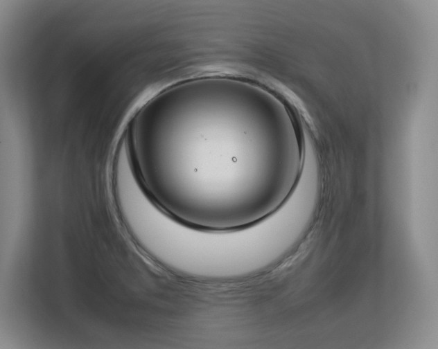 X0000112751373200908271533