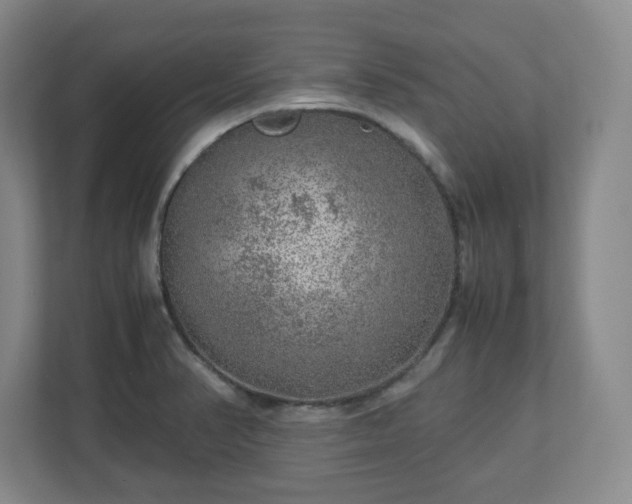 X0000112751374200908271533