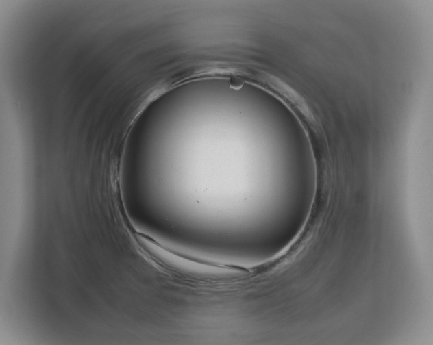 X0000112751377200908271533